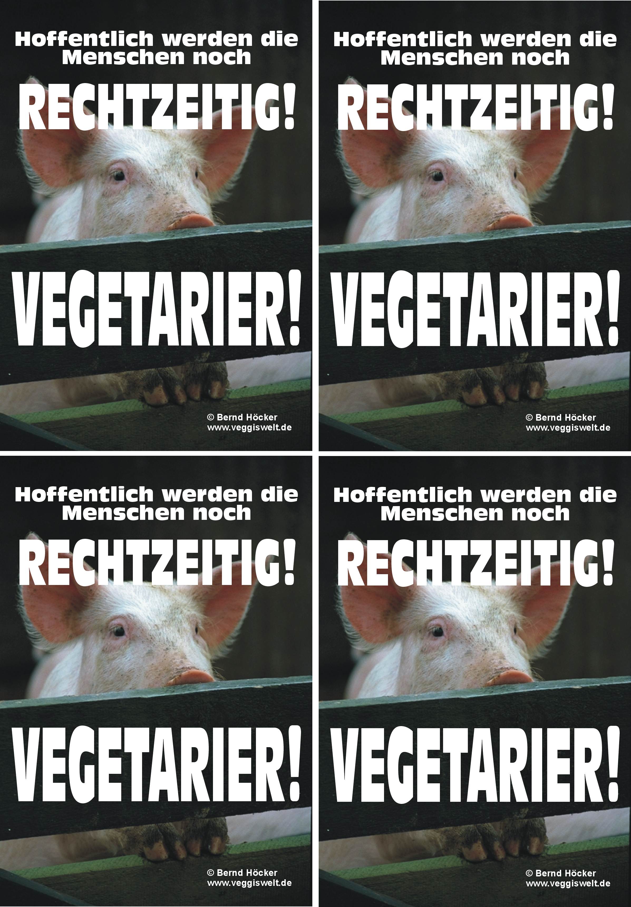 Ferkel-hoffentlich-vierer.jpg (623890 Byte)