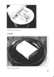 061.jpg (3147 Byte)