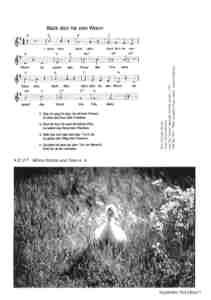 171.jpg (4672 Byte)